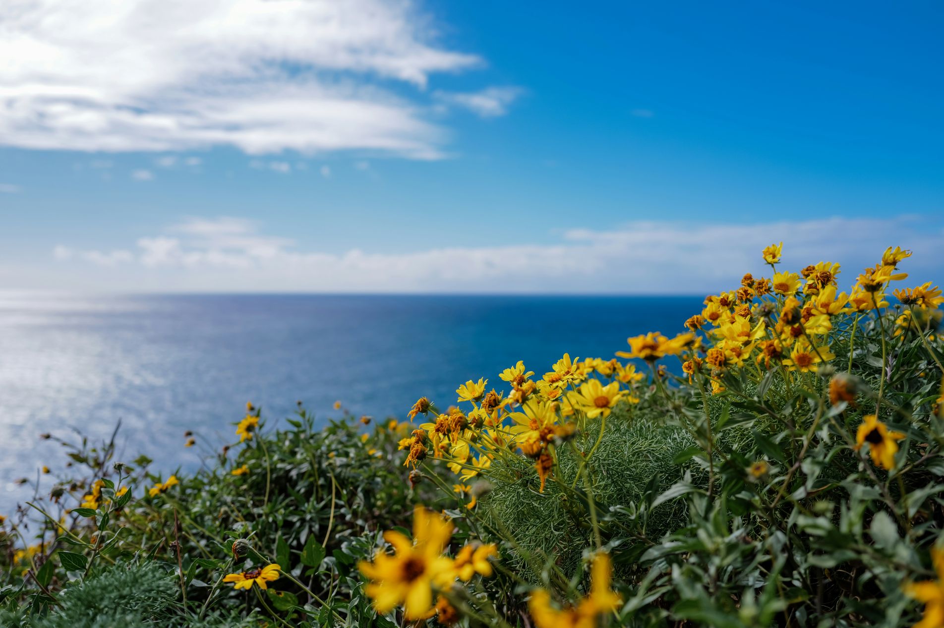 Worship Service, Sun, May 3, 2026