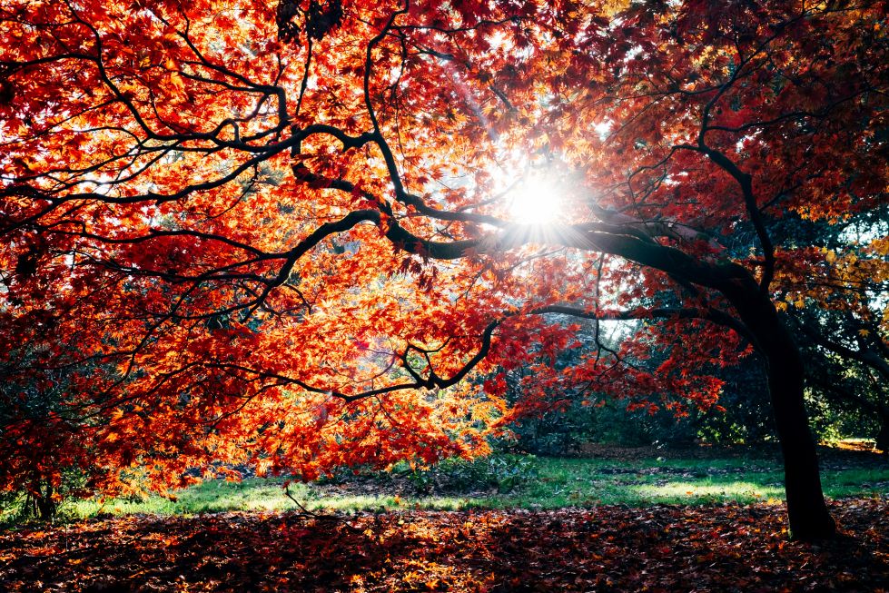 Worship Service, Sun, Oct 4, 2026